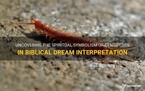 prophetic dream symbol meaning centipede.